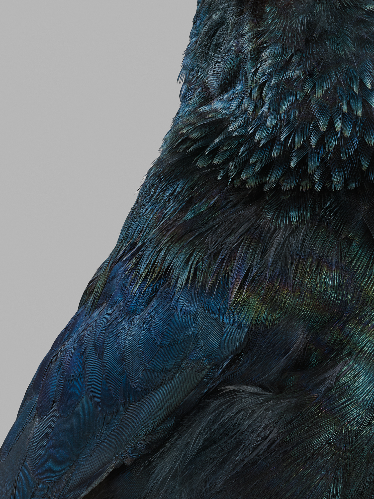 STUDIO WOLFRAM POSTPRODUCTION