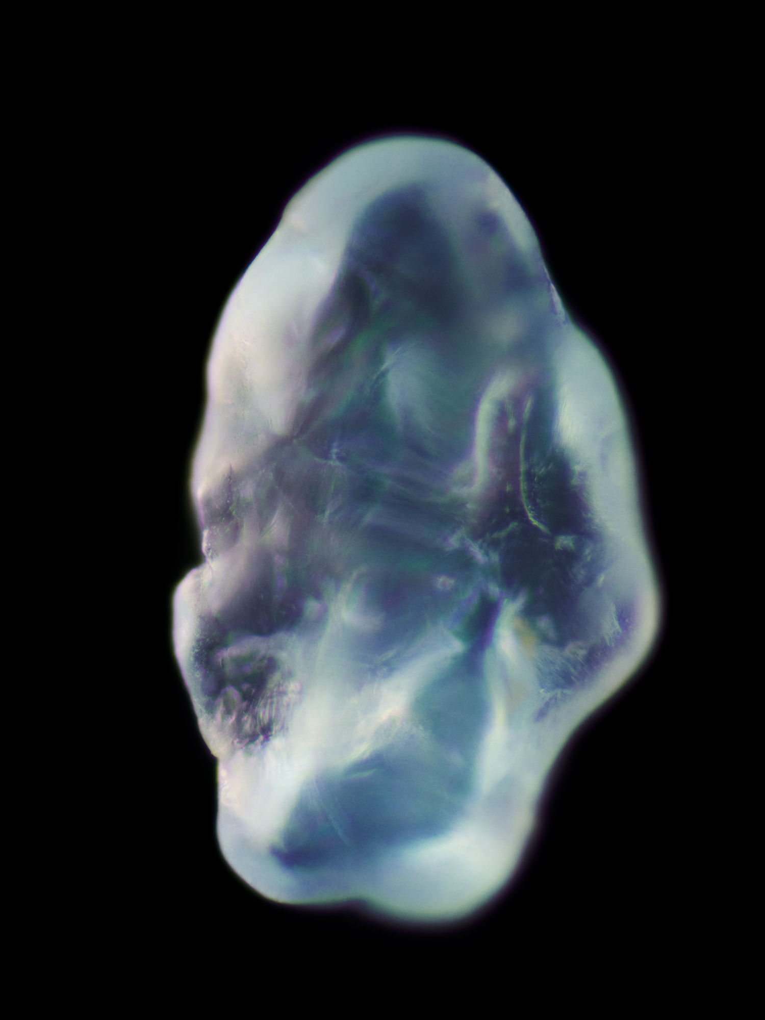 STUDIO WOLFRAM POSTPRODUCTION