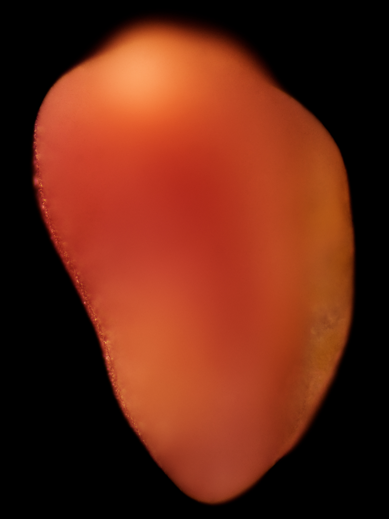 STUDIO WOLFRAM POSTPRODUCTION