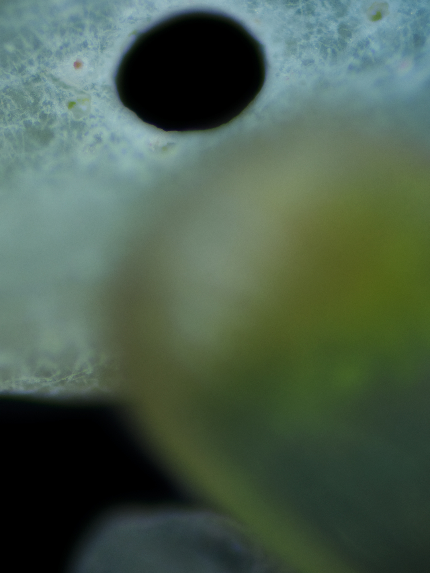 STUDIO WOLFRAM POSTPRODUCTION